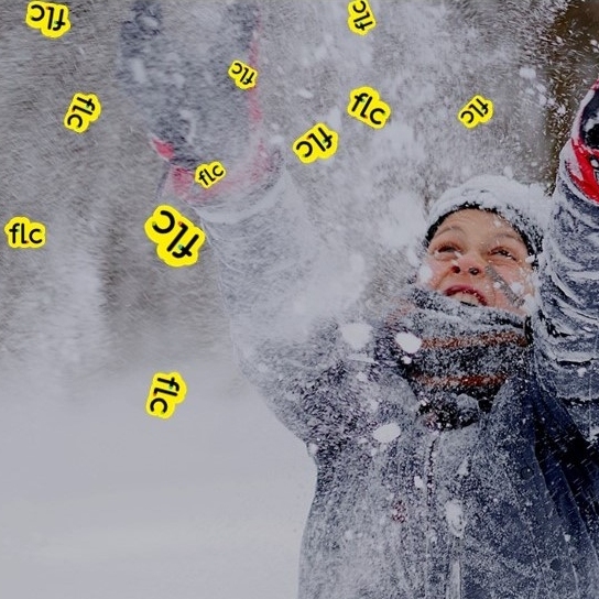 Stage tout public –</strong> Stages...