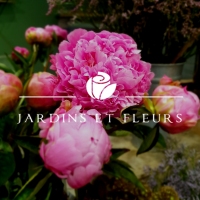 Marie-Laure Chapelle / Marjolaine Herbline / Jeanne Pouillot