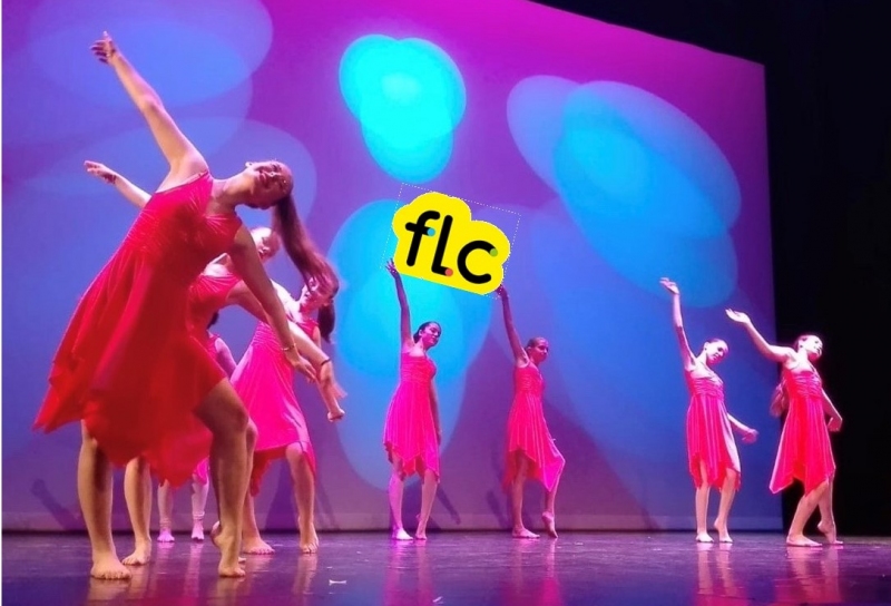 Gala de danse