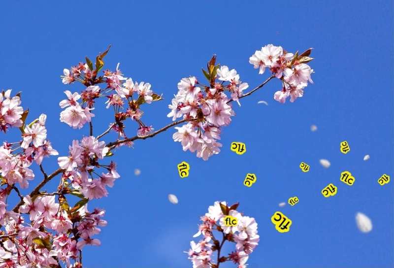 stages vacances de printemps