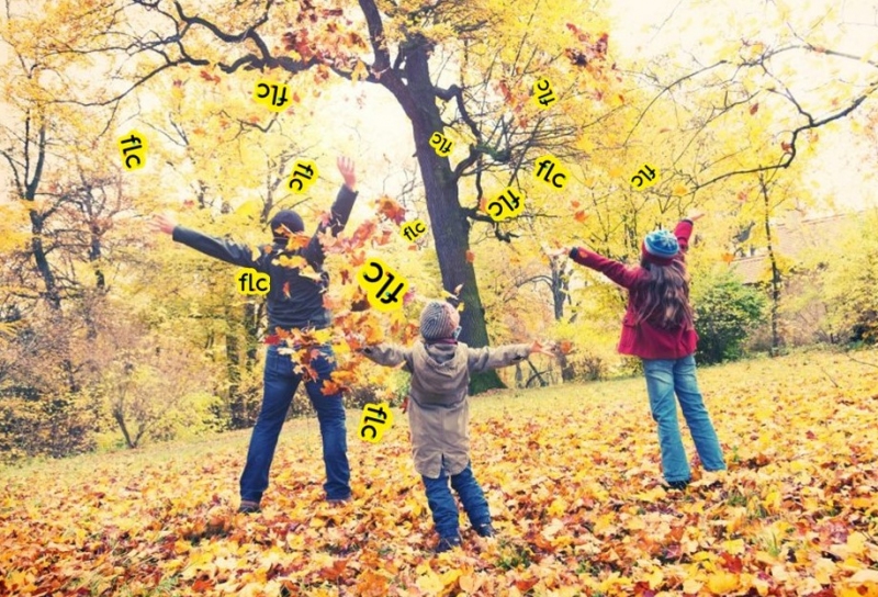 Stages vacances d'automne
