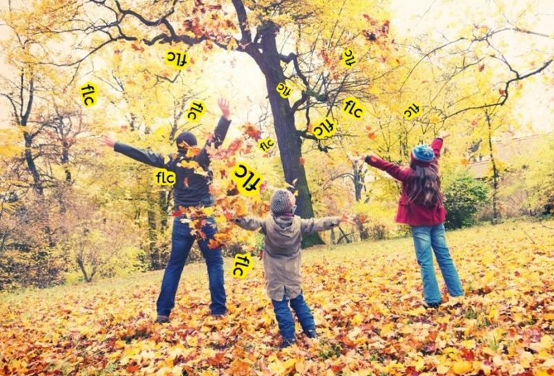 Stages vacances d'automne