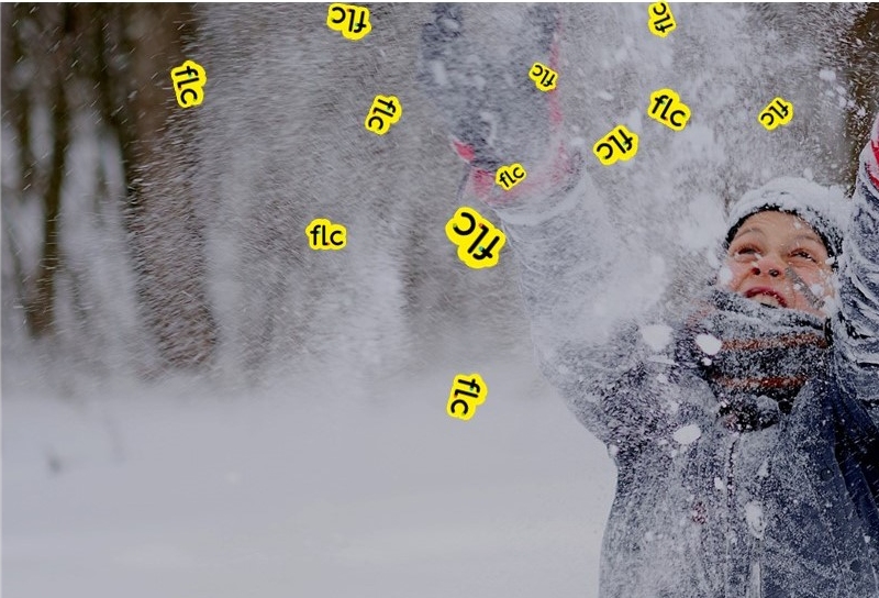 Stages de vacances d'hiver (Fevrier)